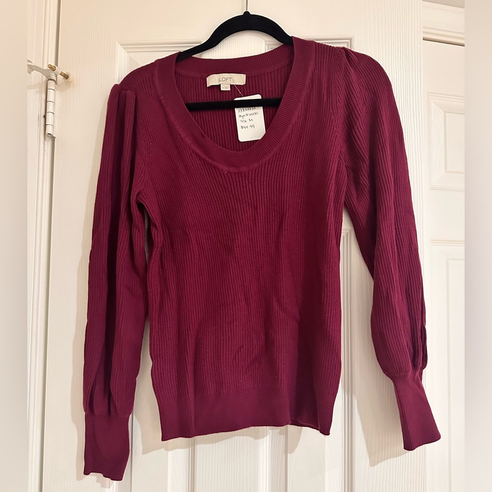 Ann Taylor Loft sweater